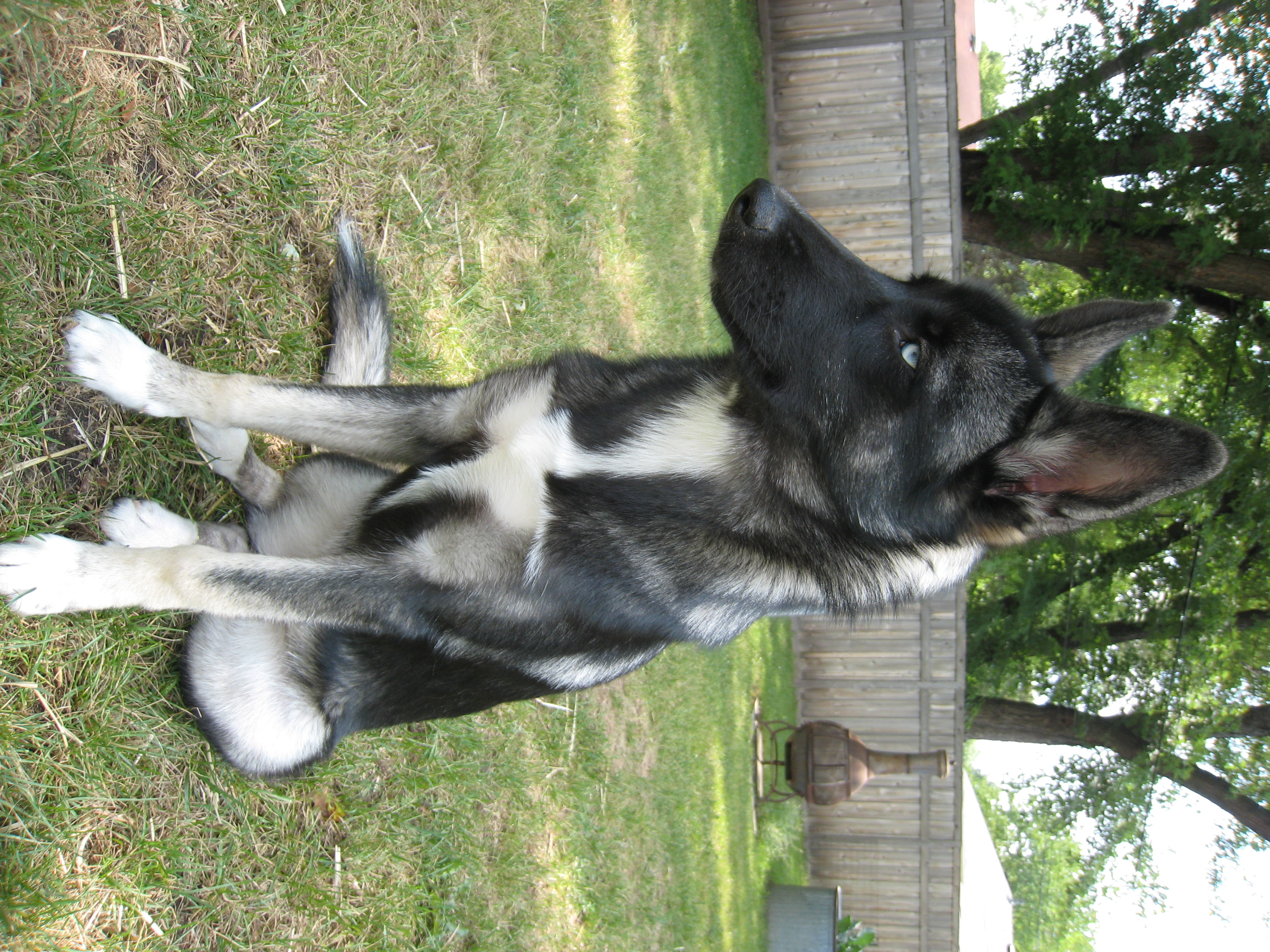 Jasmine at 22 Weeks